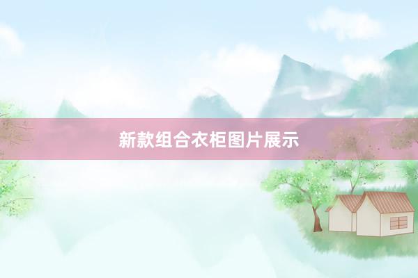 新款组合衣柜图片展示