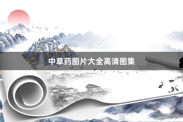中草药图片大全高清图集
