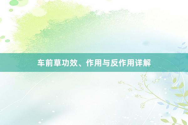 车前草功效、作用与反作用详解